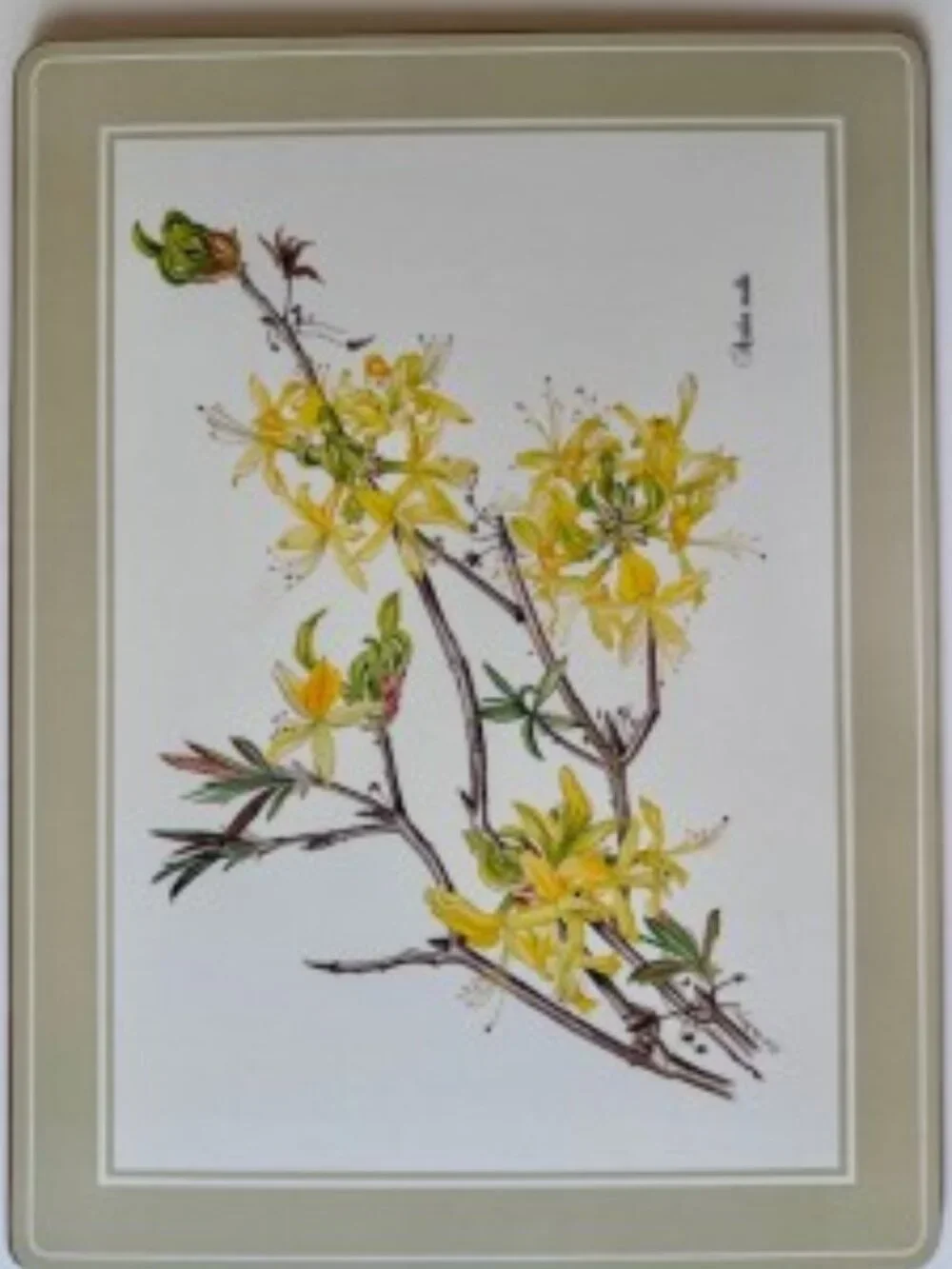 Lenox Set of 4 Cork-Backed Placements in Box - Picture 2 of 6